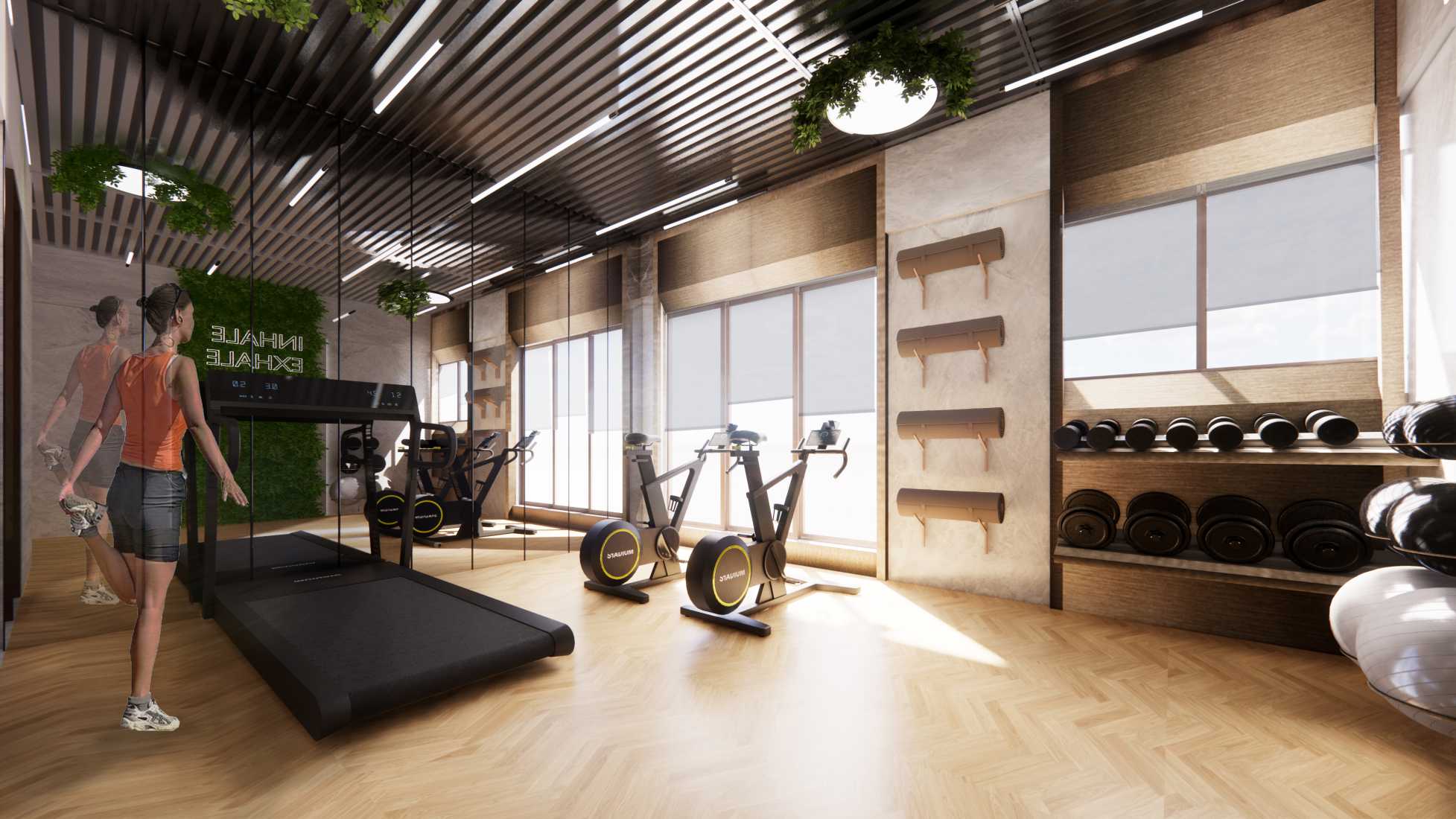 Gymnasium | Amenities 