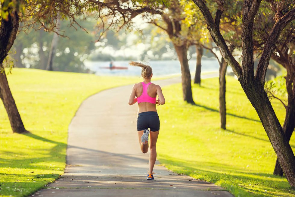 ||Jogging Track Jogging Track