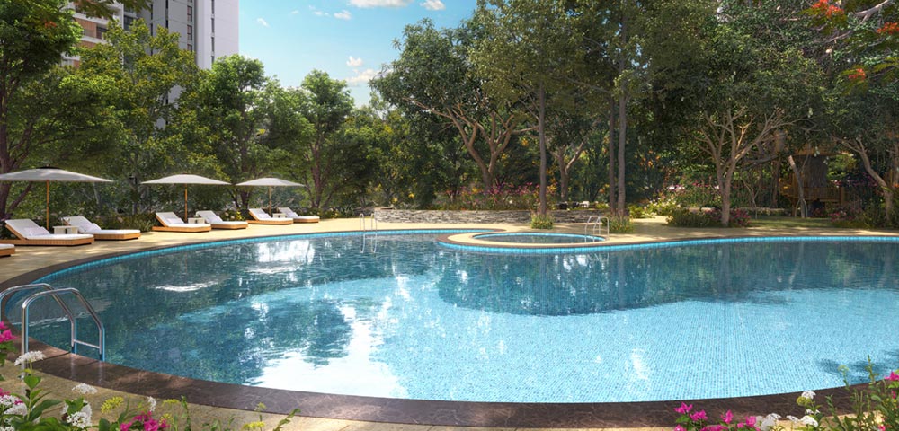 Gracefully curved swimming pool