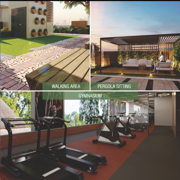 Gym & Sitout Zone